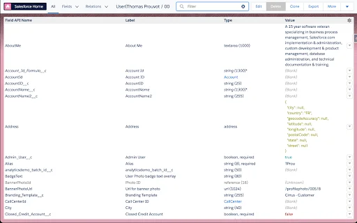 Download Salesforce Inspector Reloaded – Alat Produktivitas Terbaik - Screenshot 4