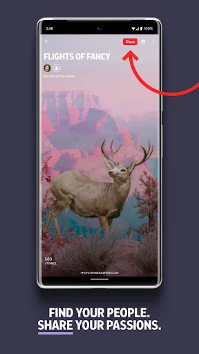 Download Flipboard Terbaru – Majalah Berita Digital Gratis - Screenshot 5