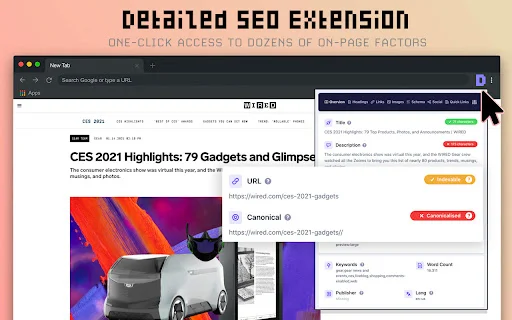 Download Detailed SEO Extension – Analisis SEO Cepat Gratis - Screenshot 1