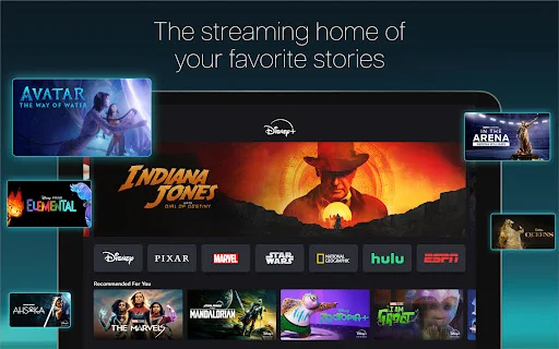 Download Disney+ APK Terbaru – Streaming Film & Serial Eksklusif - Screenshot 5