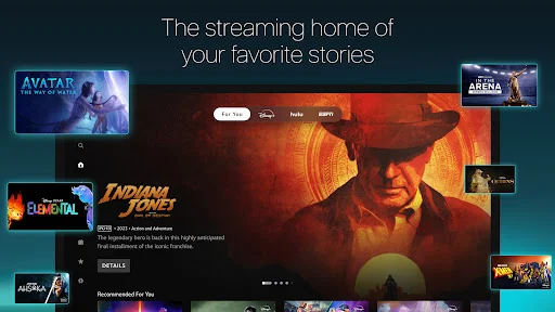 Download Disney+ APK Terbaru – Streaming Film & Serial Eksklusif - Screenshot 11