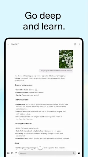 Download ChatGPT Terbaru – Asisten AI Canggih Gratis - Screenshot 10