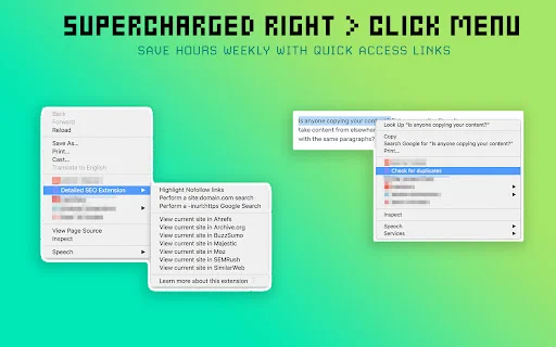 Download Detailed SEO Extension – Analisis SEO Cepat Gratis - Screenshot 3