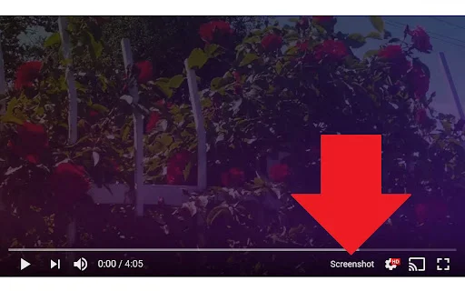 Screenshot YouTube: Ambil Tangkapan Layar Video YouTube dengan Cepat - Screenshot 1