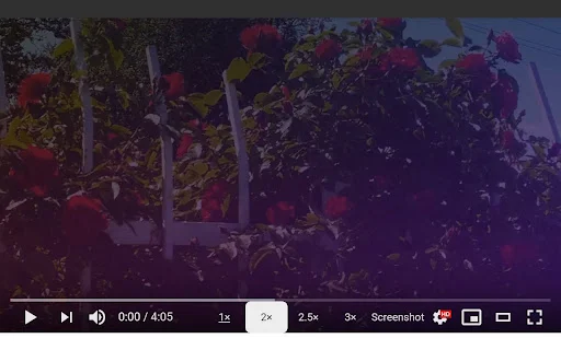 Screenshot YouTube: Ambil Tangkapan Layar Video YouTube dengan Cepat - Screenshot 2